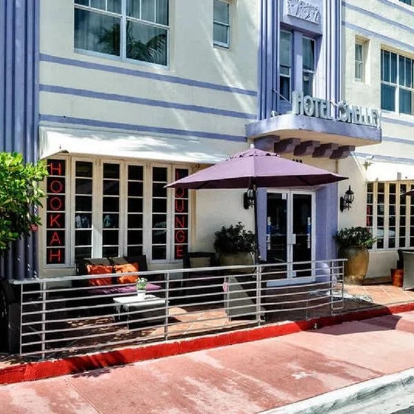 Shelley - zdjęcie 4