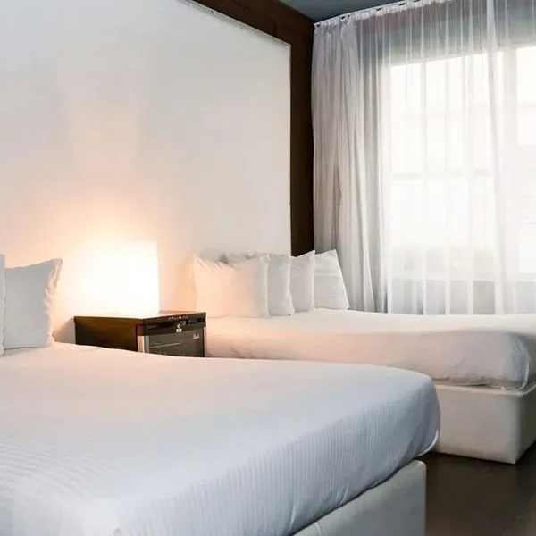 Shelley - zdjęcie 3