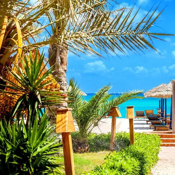 Carols Beau Rivage - zdjęcie 4