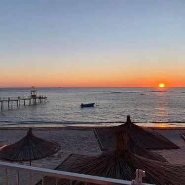 Aragosta - zdjęcie 5