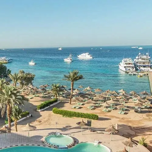 Dexon Roma (ex. Roma) - zdjęcie 3